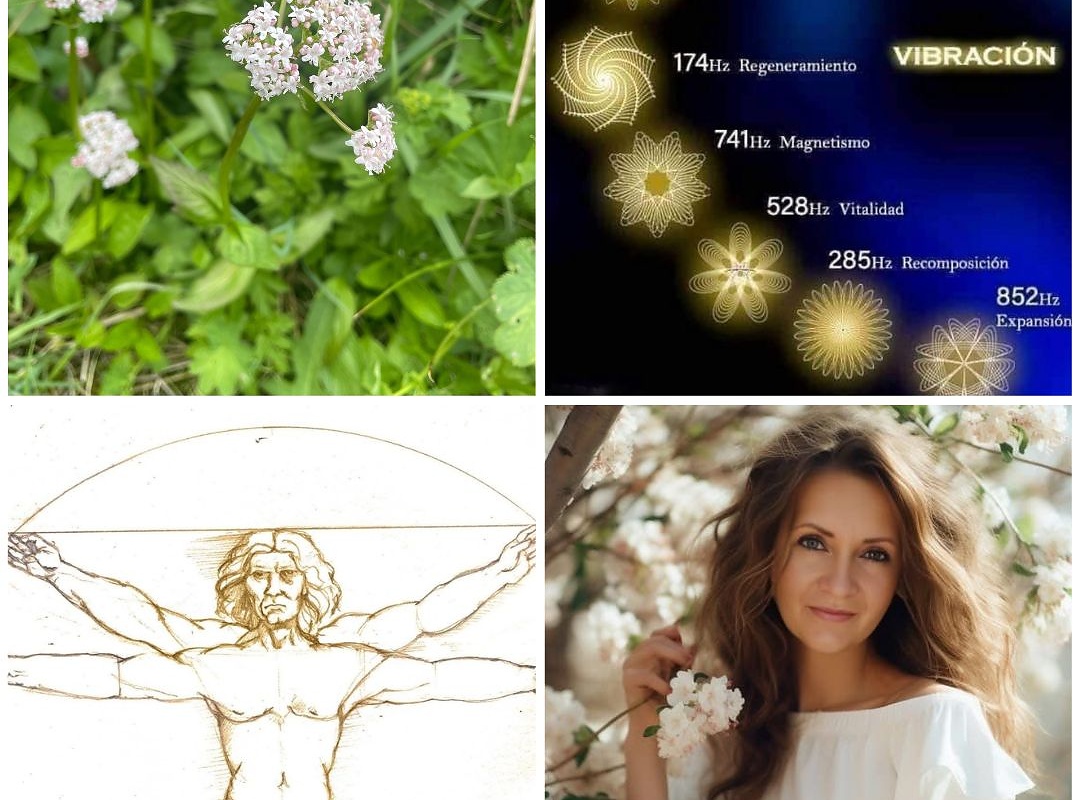 Biorezonancia Žilina